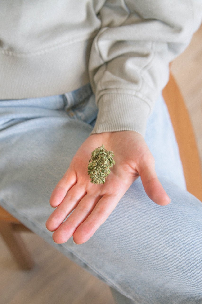 CBD kanapių žiedai - Lynx Cannabis