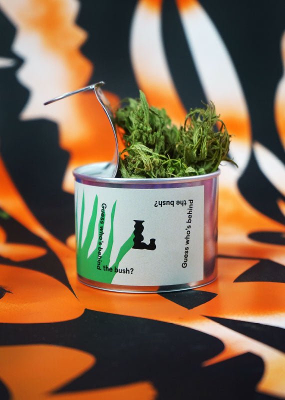 CBD kanapių arbata - Lynx Cannabis