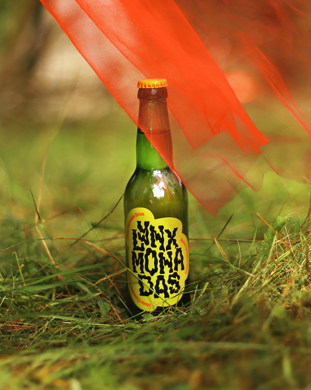 Lynxmonadas Mate -  gaivusis gėrimas su kanapių žiedais ir yerba mate